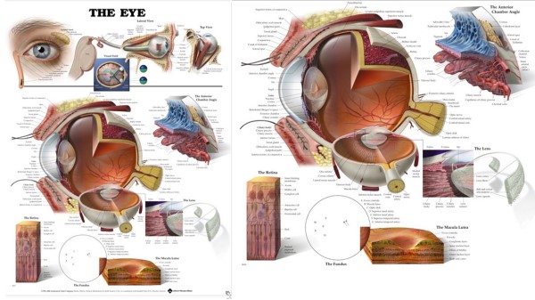 The Eye and God